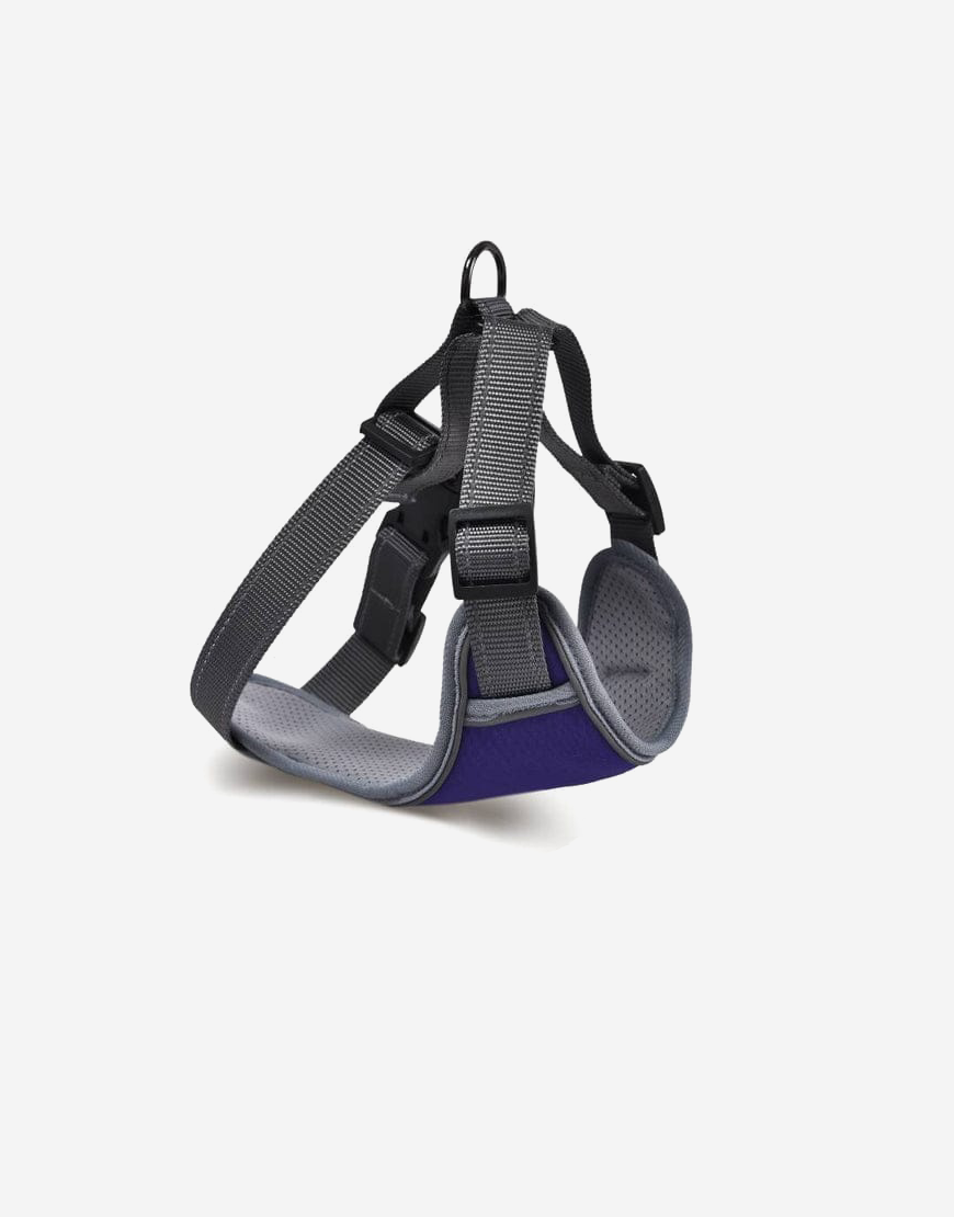 Naomi -YL107790 Pet Harness