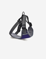Naomi -YL107790 Pet Harness