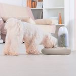 IMac Food Dispenser Ciottoli for Pet