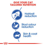 Royal Canin Indoor Long Hair Dry Food (400G/2KG) - Talapets