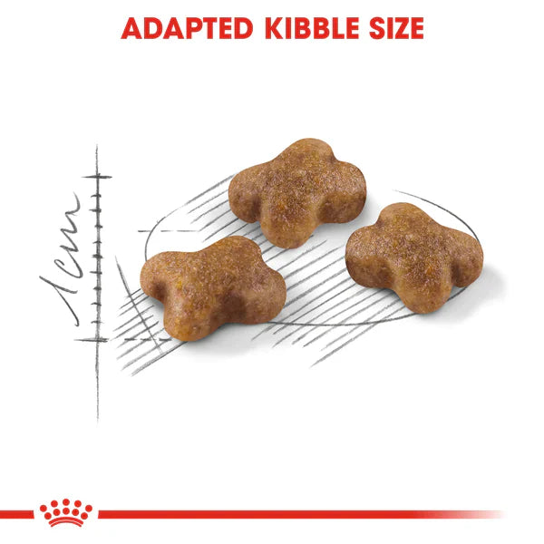 Royal Canin Kitten (2KG) up to 12 months - Talapets