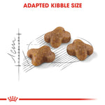 Royal Canin Kitten (2KG) up to 12 months - Talapets