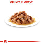 Royal Canin Kitten In Gravy (85gm\ Pouch) - wet food for kittens up to 12 months - Talapets