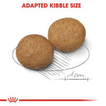 Royal Canin Medium Adult (4 KG) - Talapets