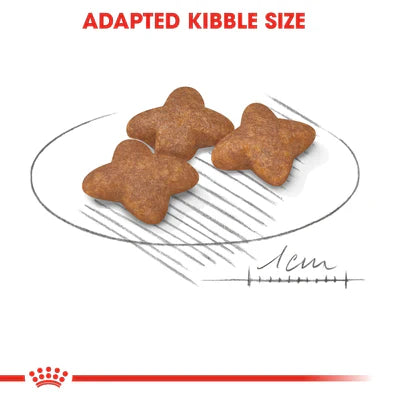 Royal Canin Mini Adult (2KG) - Talapets