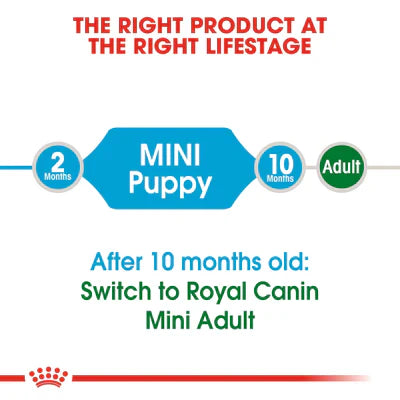 Royal Canin Mini Puppy (2KG) - Dry food for small dogs - Talapets