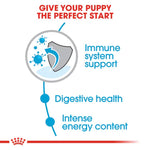 Royal Canin Mini Puppy (2KG) - Dry food for small dogs - Talapets