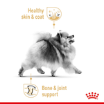 Royal Canin Pomeranian Adult (1.5 KG) - Talapets