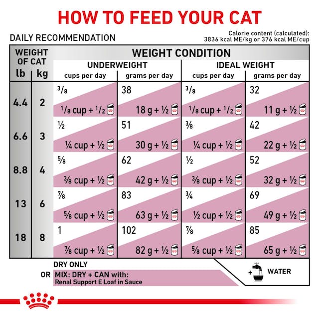 Royal Canin Feline Renal For Cat (2 KG) - Dry food for Renal and chronic kidney diseases - Talapets