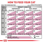 Royal Canin Feline Renal For Cat (2 KG) - Dry food for Renal and chronic kidney diseases - Talapets