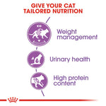 Royal Canin Sterilized 37 (2 KG) - Neutered adult cats - Talapets