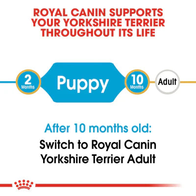 Royal Canin Yorkshire Terrier Puppy (1.5 KG) - Dry food for puppies up to 10 months old - Talapets