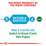 Royal Canin Mini Starter Mother & Babydog (1 KG) - Dry food for mini puppies.