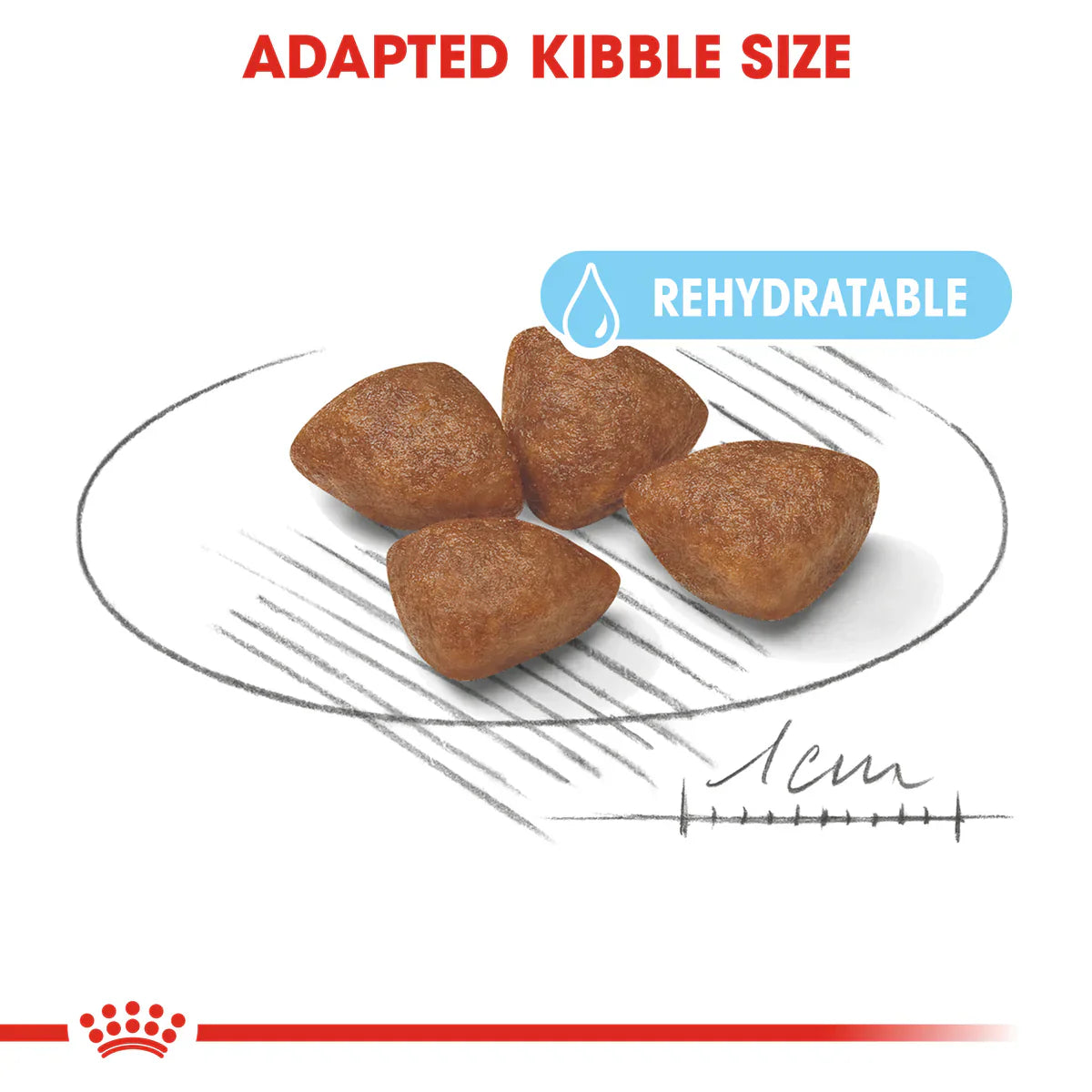 Royal Canin Mini Starter Mother & Babydog (1 KG) - Dry food for mini puppies.