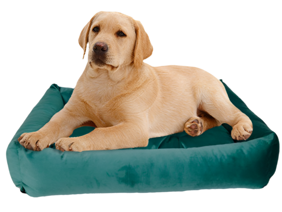 Pet Moda Velvet Bed