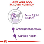 Royal Canin Giant Adult- Dry food for giant active dogs. Adult weight from 45 kg and over - over 18\24 months