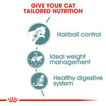 Royal Canin Hairball care (85gm\ Pouch) - Wet food for adult cats