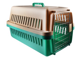 Naomi Pet Crate-S (Green)