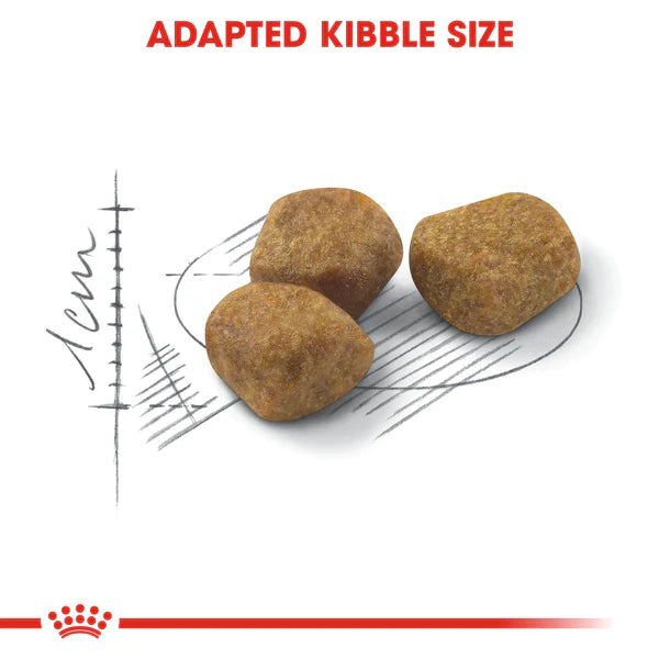Royal Canin Indoor 7+ (1.5KG) - Dry food for indoor cats over 7 years old - Talapets