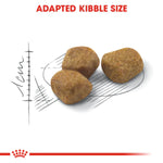Royal Canin Indoor 7+ (1.5KG) - Dry food for indoor cats over 7 years old - Talapets