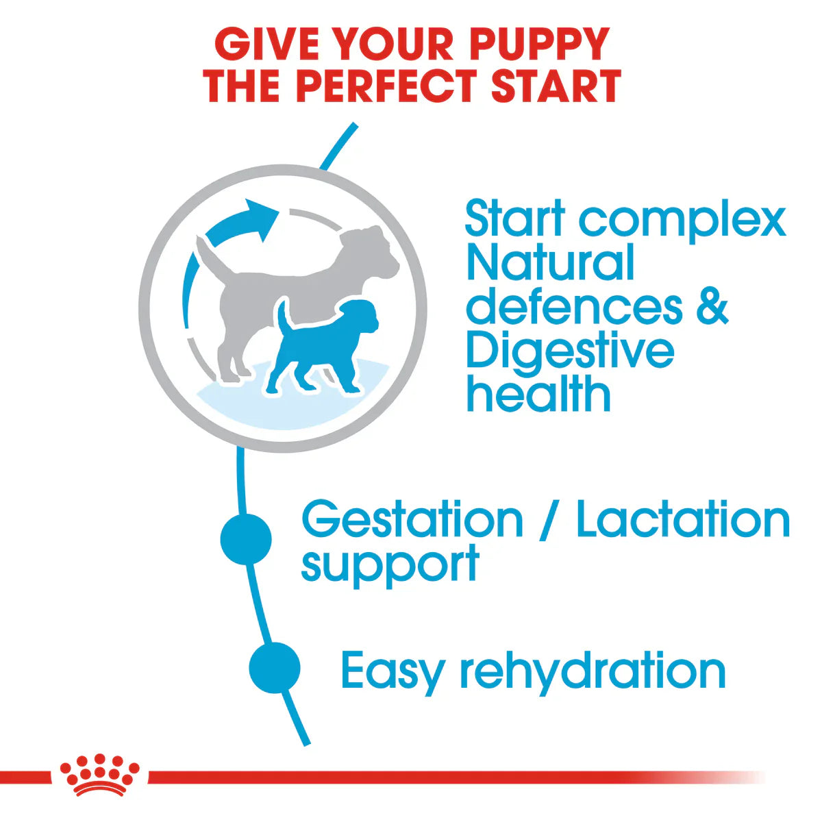 Royal Canin Mini Starter Mother & Babydog (1 KG) - Dry food for mini puppies.