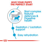 Royal Canin Mini Starter Mother & Babydog (1 KG) - Dry food for mini puppies.