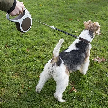 Flexi SOFT STOP BELT - Talapets
