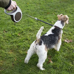 Flexi SOFT STOP BELT - Talapets