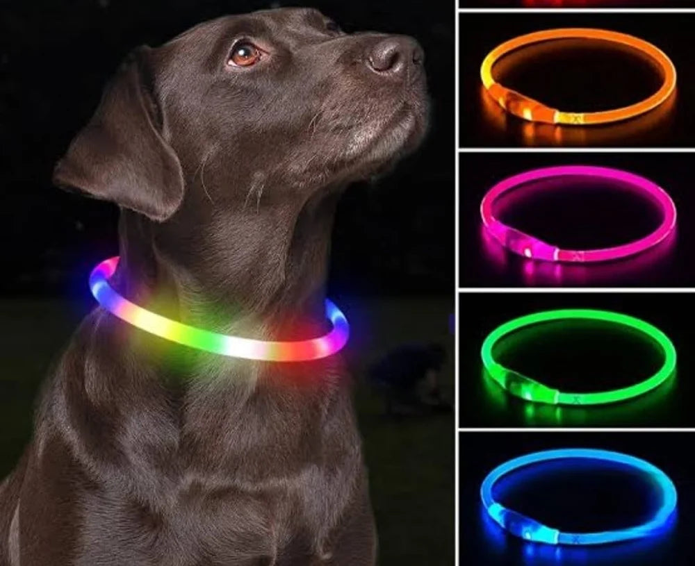 LED Luminous Dog Collar – Glow in the Dark Safety Necklace