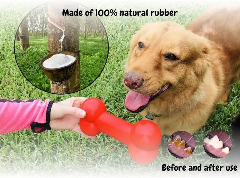 Goodie Bone Dog Chew Toy