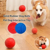 Nunbell Dog Rubber Ball Toy