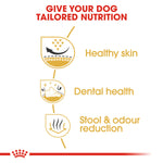 Royal Canin Shih Tzu Adult (1.5 KG) – Dry food for adult dogs