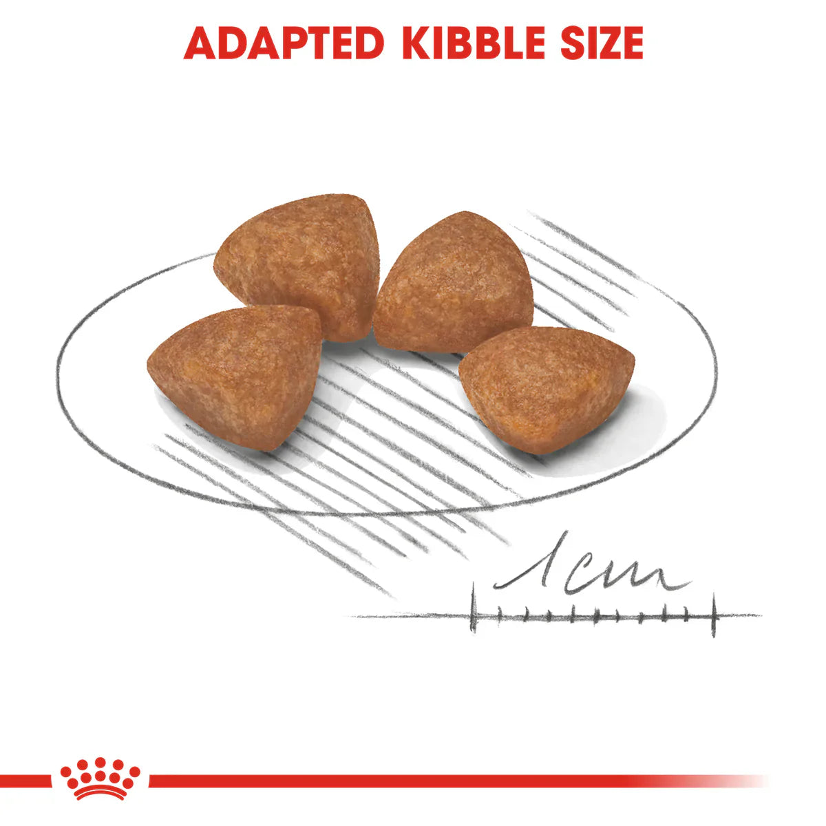 Royal Canin X-Small Puppy (1.5 KG) - Dry food for very small dogs - Adult weight up to 4 KG