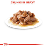 Royal Canin Digestive in Gravy (85 gm\Pouch) - Wet food for Cats