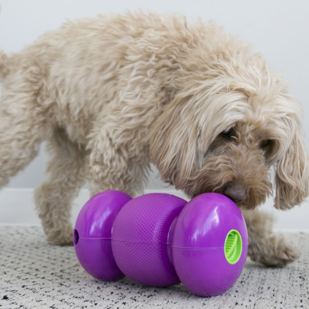 Kong Replay Large for Dogs 16KG and up - Treats Dispenser