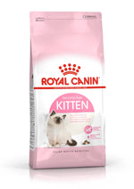 •Royal Canin Kitten Dry Food 2kg front packaging•عند وجود صورة للحبيبات: Royal Canin Kitten kibble texture close-up