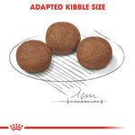 Royal Canin Medium Puppy