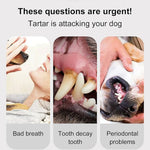 Dog Dental Care Toothpaste Beef Flavor – Oral Care for Dogs (95g)