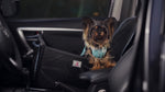 Moda Car Cover Front Seat (Box) - Talapets