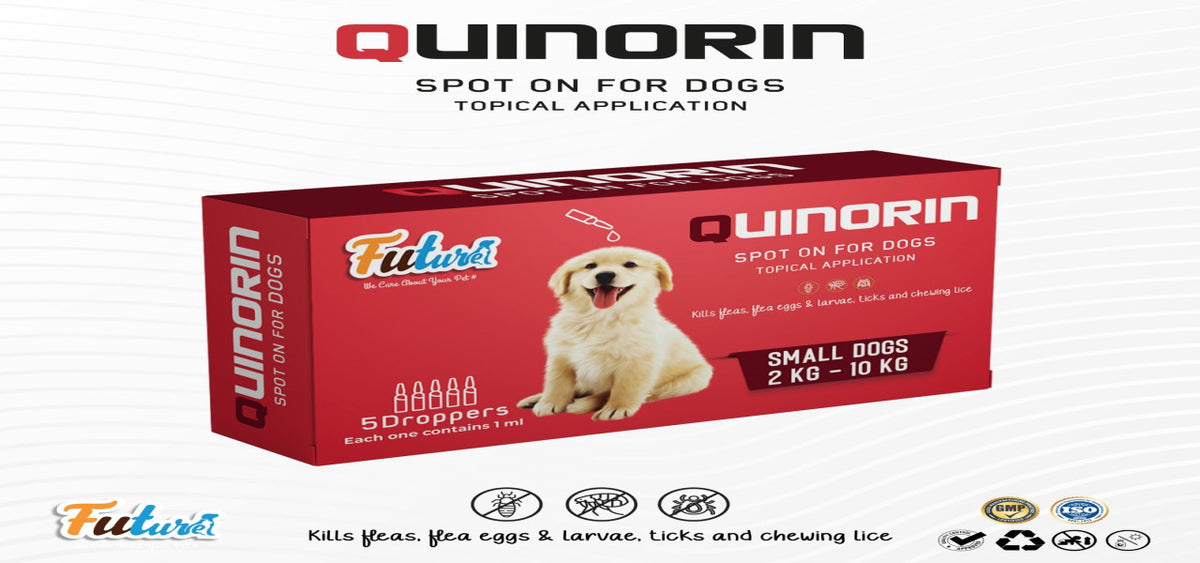 Future Quinorin Spot On for Small Dogs (2 kg - 10 kg) - 1 pipette