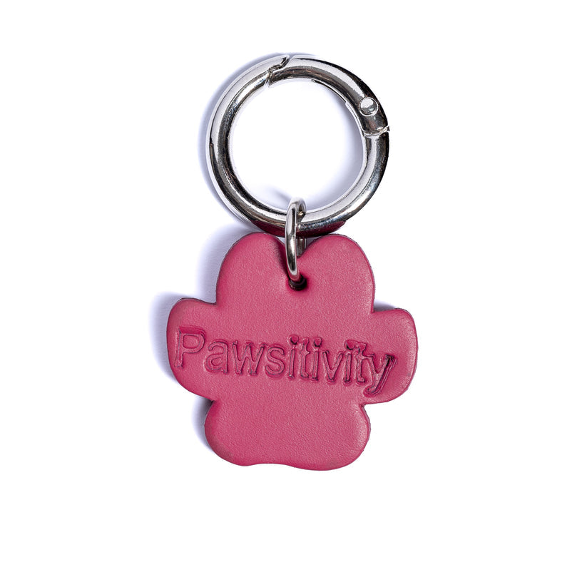 PawPaw Collar Charm - Pawsitivity