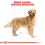 Royal Canin Golden Retriever Adult Dry Dog Food (3 KG) - Talapets