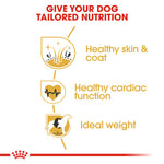 Royal Canin Golden Retriever Adult Dry Dog Food (3 KG) - Talapets