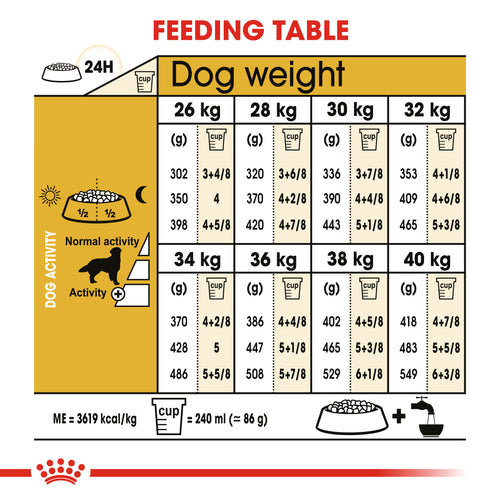 Royal Canin Golden Retriever Adult Dry Dog Food (3 KG) - Talapets