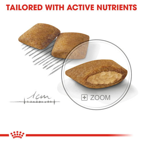 Royal Canin Mini Exigent (3 KG) - Dry food for small dogs up to 10 KG with fussy appetite. - Talapets