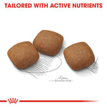 Royal Canin Maxi Joint Care (10 KG)- Dry Foodprone to joint sensitivity