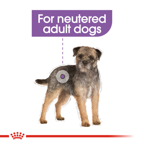Royal Canin Mini Sterilised (3 KG) - Talapets