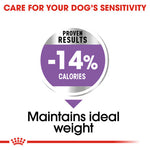 Royal Canin Mini Sterilised (3 KG) - Talapets