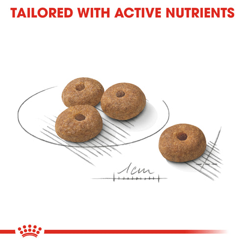 Royal Canin Mini Sterilised (3 KG) - Talapets