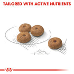 Royal Canin Mini Sterilised (3 KG) - Talapets